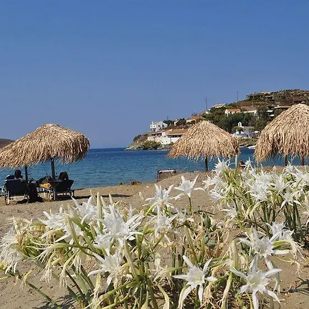 Apart-hotel Cavo Perlevos 3*